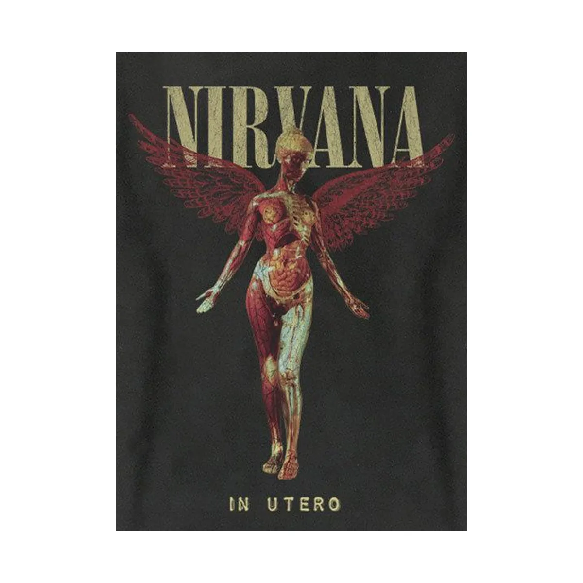 Amplified Unisex Adult In Utero Nirvana Sweatshirt