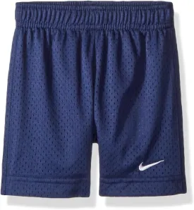 Nike Mesh Shorts Gym